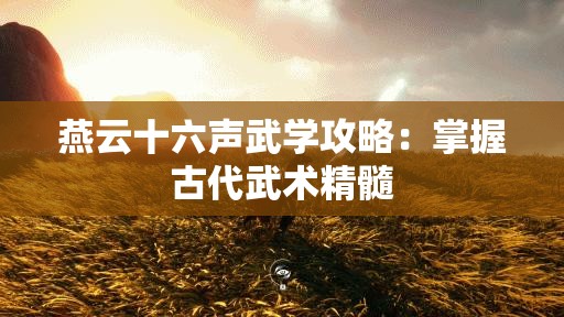 燕云十六声武学攻略：掌握古代武术精髓